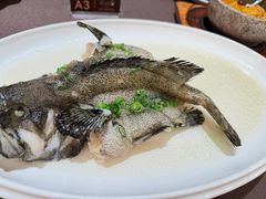 油盐蒸老虎斑-长禧家·珑厨(东山口店)