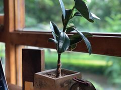 -时光花园(白鹭洲店)