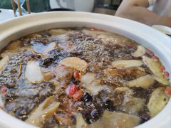 -蘑统田下·野生菌火锅