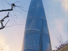 -上海中心大厦