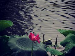 -城市运动公园(未央区)