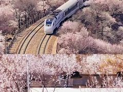 -居庸关长城