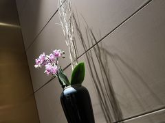 -北京泰富酒店-柏景轩中餐厅