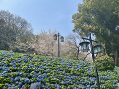 -苏州上方山国家森林公园