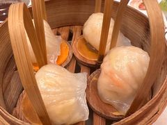 -金鼎轩(方庄天坛店)