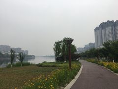-眉山湿地公园(东坡区)