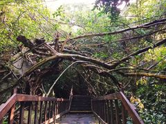 -七仙岭温泉国家森林公园