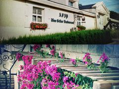 -北京张裕爱斐堡酒庄