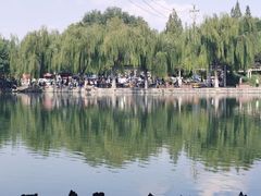 -百花洲