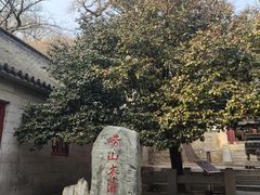 -青岛崂山太清宫