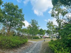 -春花秋色城市公园