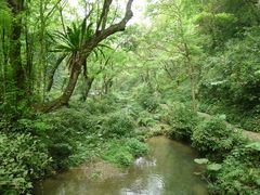-桂林古东瀑布景区
