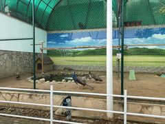 -北京市海淀外国语实验学校