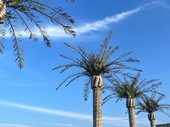 -湖州太湖旅游度假区-月亮广场