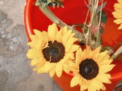 -水乡人家私房菜(逢简店)