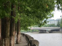 -运河游船(武林门码头)