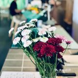 淡雅清新咖啡馆