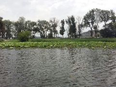 android_upload_pic-五甲塘生态湿地公园