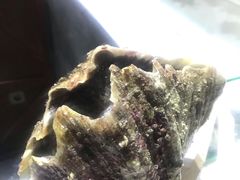 -海盗餐厅