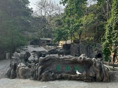 -燕塞湖鸟语林景区