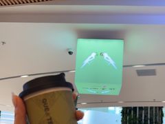 -鹊茶咖啡•新中式(深圳首店)