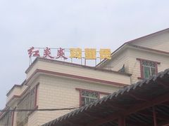 -红炎炎农家菜老字号(金水台店)