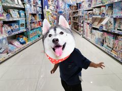 -TOYSRUS玩具反斗城(厦门中华城店)