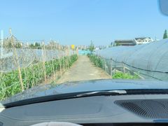 -小鱼草莓采摘园农家乐·小鱼餐厅