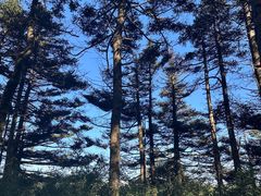 -嘉陵江源头景区