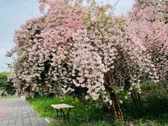 -老君堂公园
