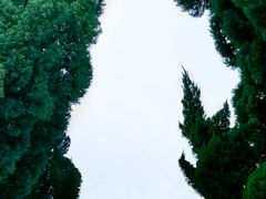 -小麦岛公园