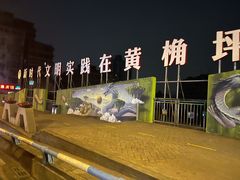 -舒小笼松针小笼包