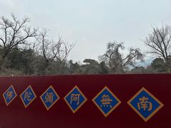 -潭柘寺景区