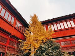 -祝家花園(伯渎港店)
