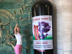 -北京张裕爱斐堡酒庄