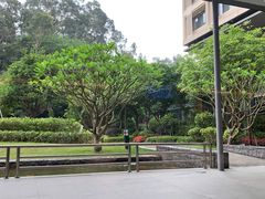 -南宁荔园维景国际酒店·荔园中餐厅