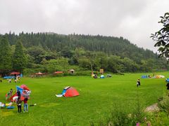 -武陵山森林公园