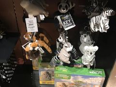 -珠海横琴国家地理探险家中心(创新方)