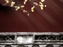 -宁波市保国寺古建筑博物馆