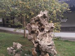 -焦山景区-万佛塔