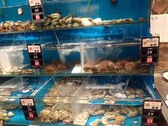 -苏大嘴海鲜牧场(奥林匹克店)