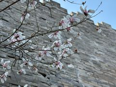 -东华门大街小区