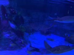 -沈阳海洋探索中心