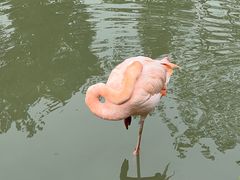 -上方山森林动物世界