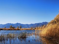 -野鸭湖国家湿地公园