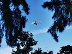 -宝安西湾红树林湿地公园