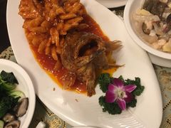 -新聚丰菜馆(太监弄店)