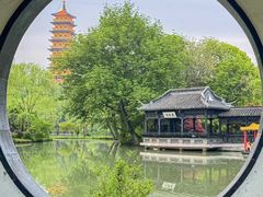-永安水煮活鱼·仪征淮扬菜