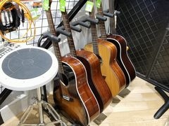 -柏斯琴行(汾阳店)