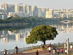 -南宁南湖公园